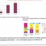 Иллюстрация №1: Разработка маркетинговой программы развития компании ОАО «Дека». (Дипломные работы - Маркетинг).